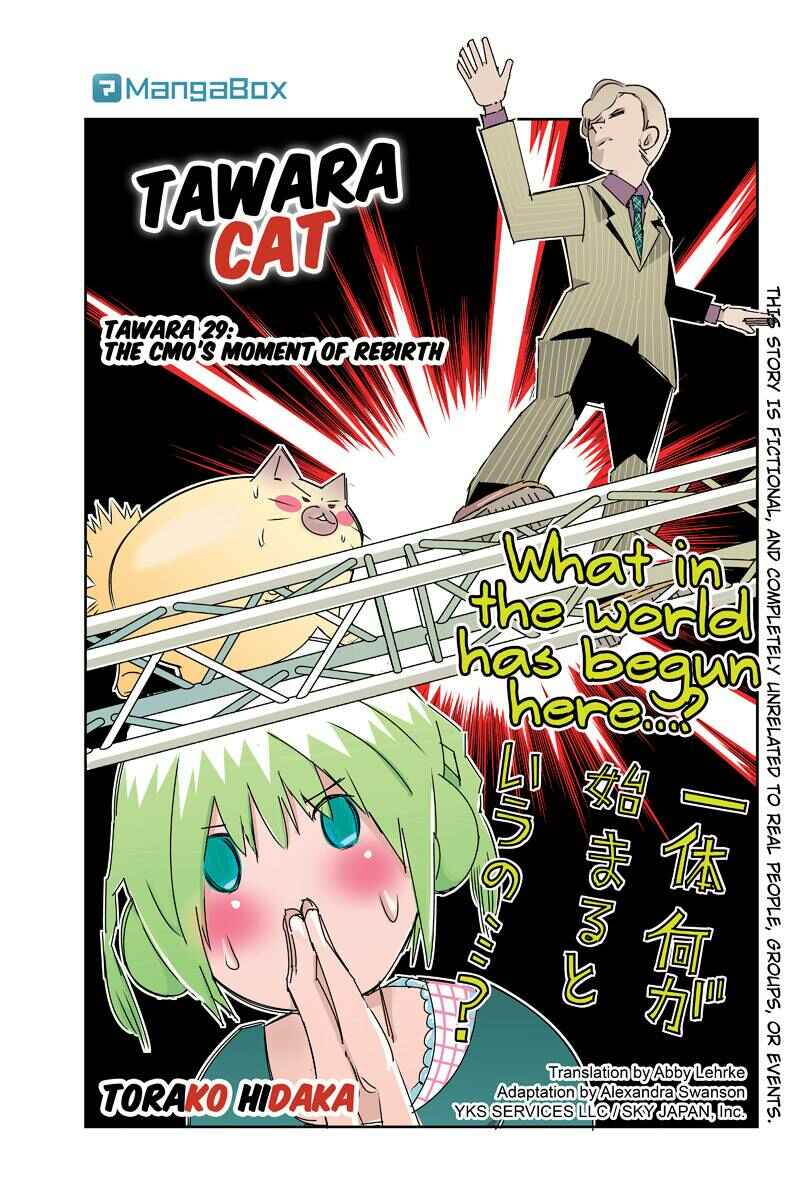 Page 1 Chapter 29 Tawara Neko to Machigai Jinsei