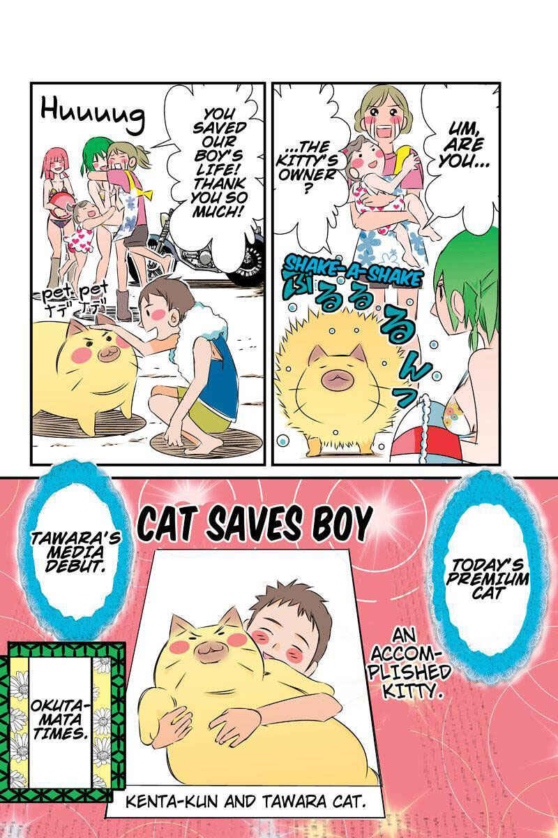 Page 18 Chapter 23 Tawara Neko to Machigai Jinsei