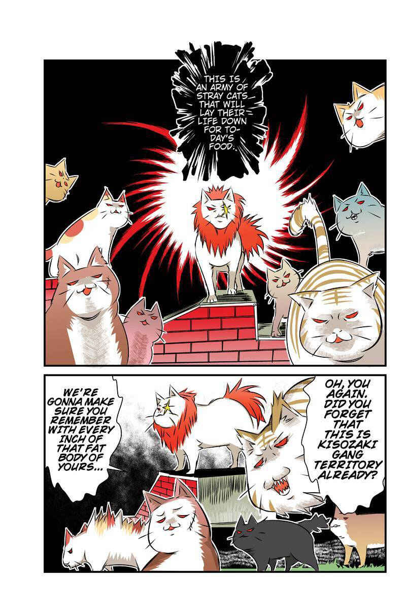 Page 11 Chapter 24 Tawara Neko to Machigai Jinsei