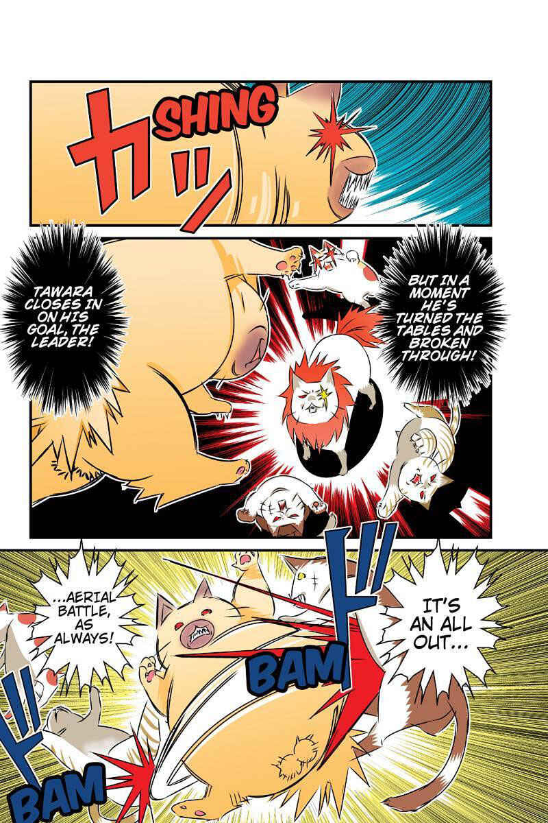 Page 12 Chapter 24 Tawara Neko to Machigai Jinsei