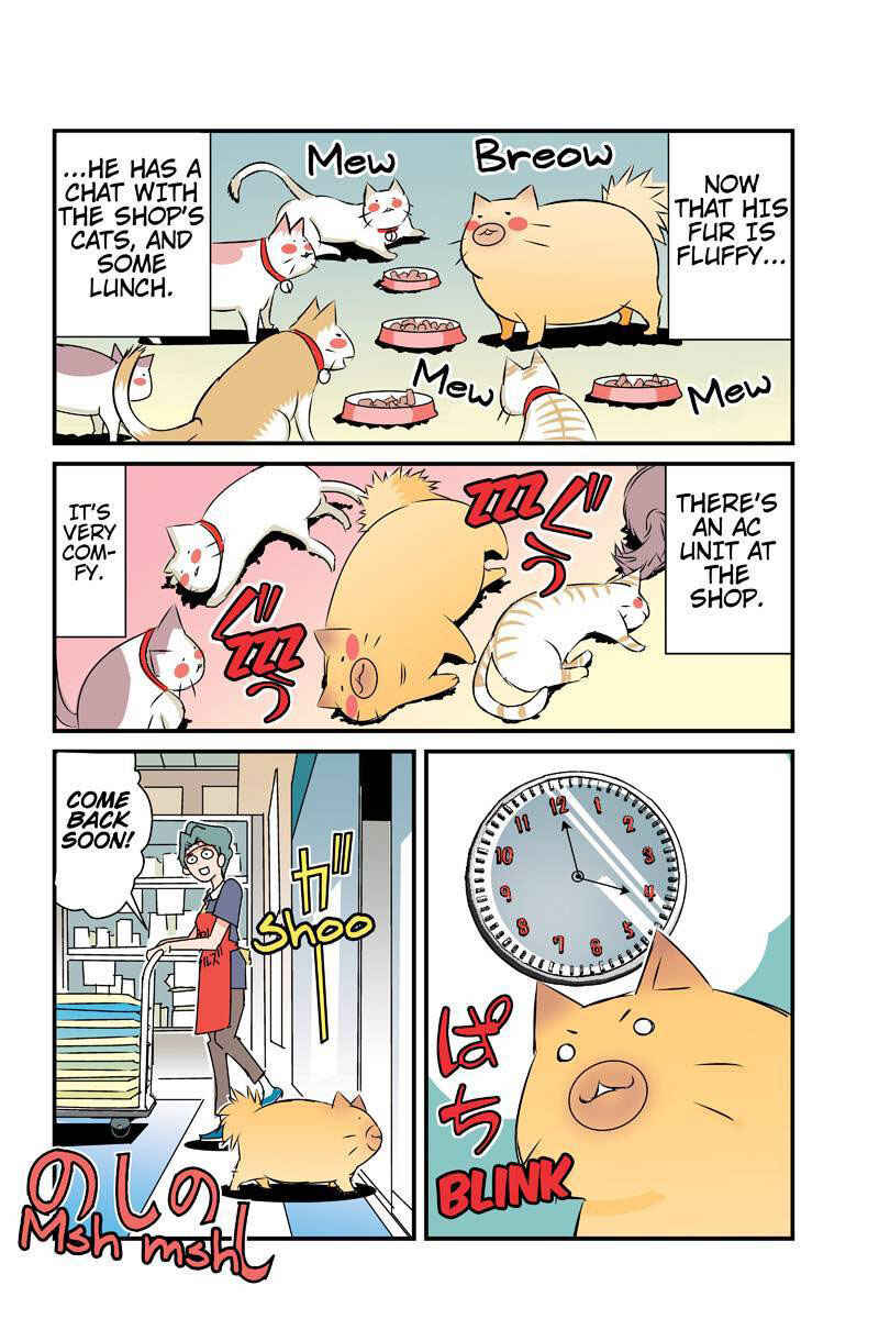 Page 6 Chapter 24 Tawara Neko to Machigai Jinsei
