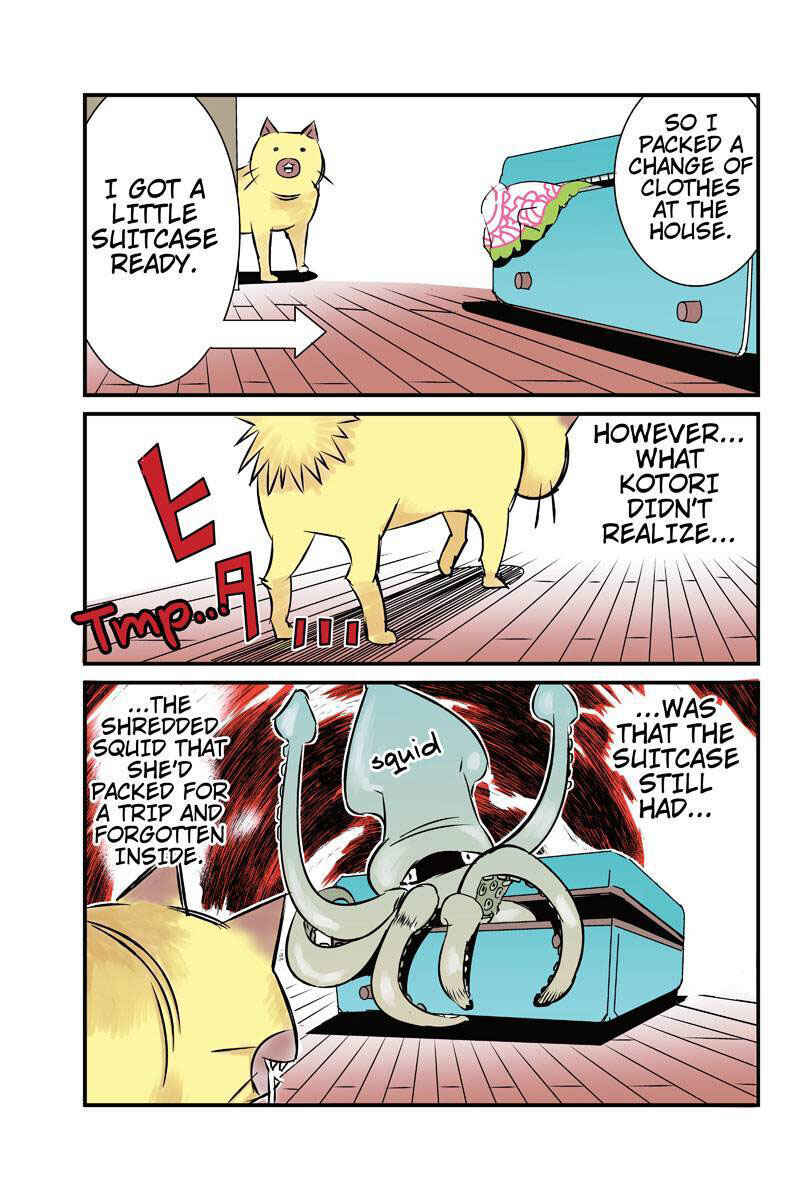 Page 5 Chapter 13 Tawara Neko to Machigai Jinsei