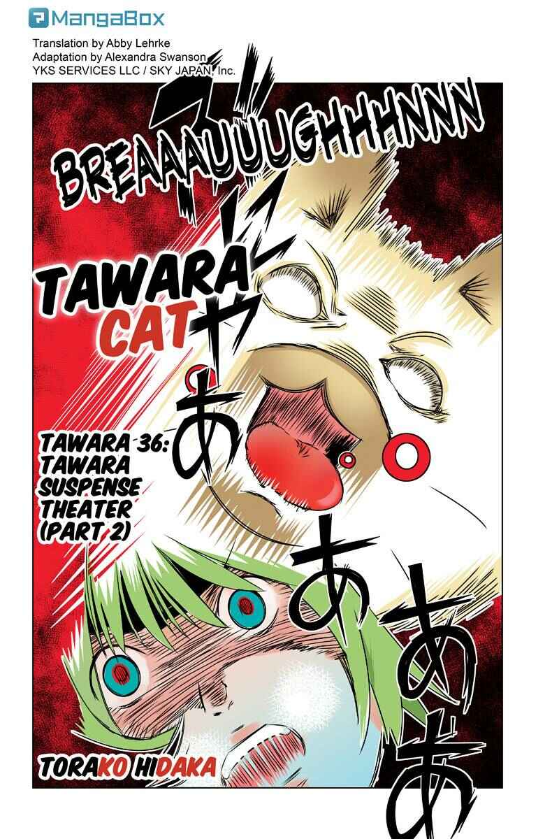 Page 2 Chapter 36 Tawara Neko to Machigai Jinsei