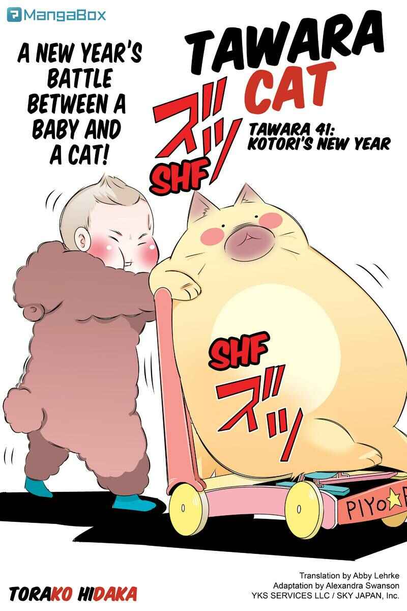 Page 1 Chapter 41 Tawara Neko to Machigai Jinsei