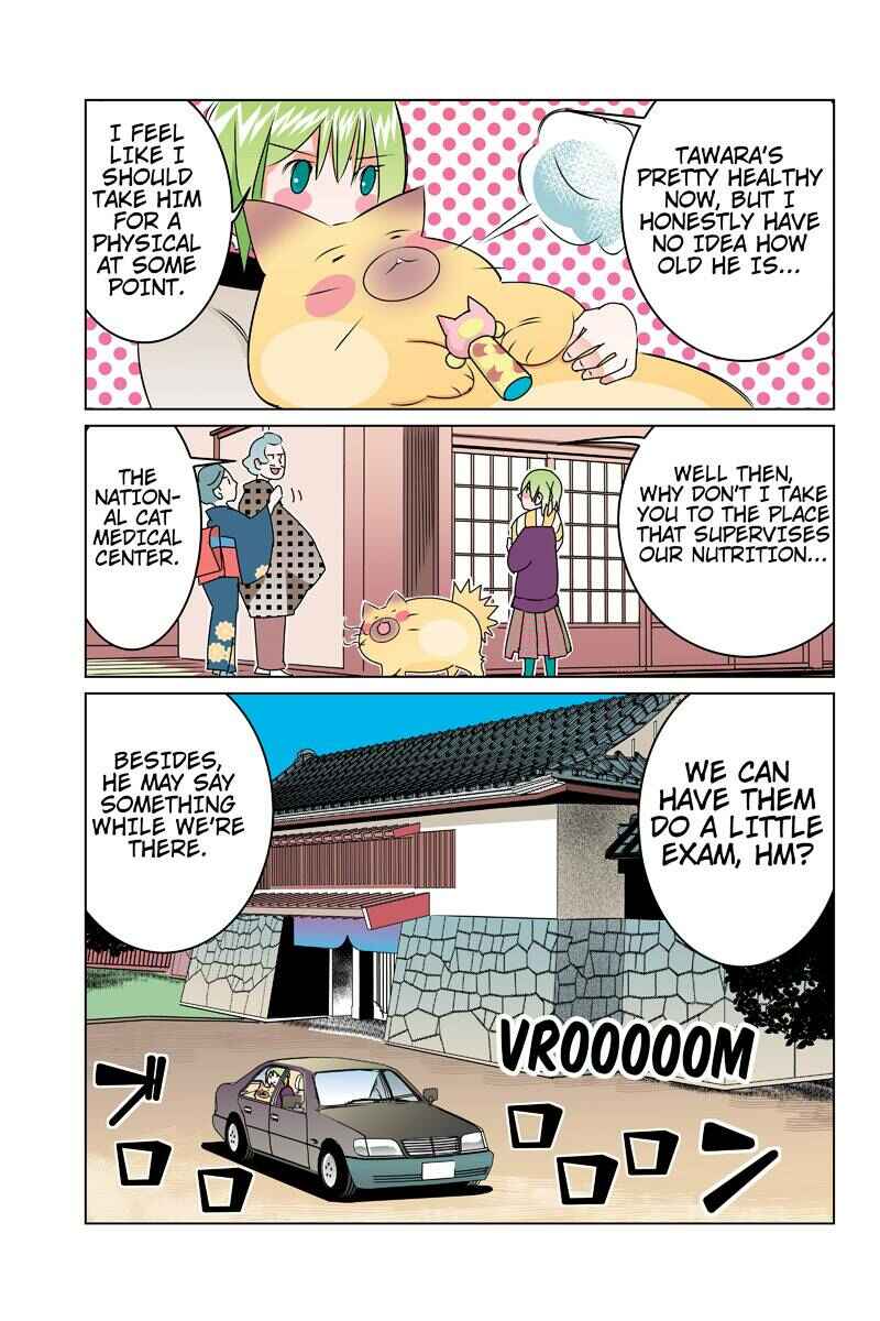 Page 5 Chapter 45 Tawara Neko to Machigai Jinsei