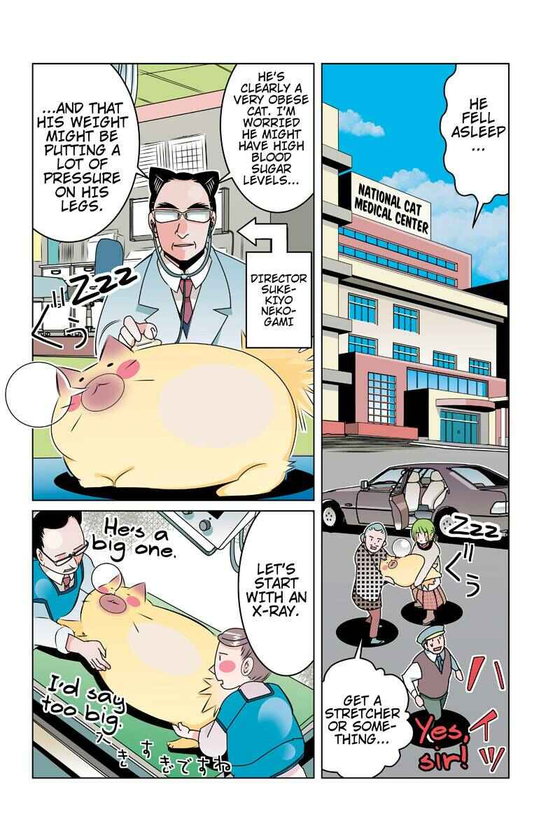Page 6 Chapter 45 Tawara Neko to Machigai Jinsei