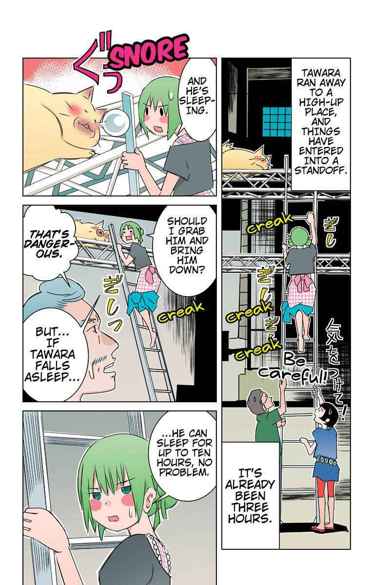 Page 2 Chapter 28 Tawara Neko to Machigai Jinsei
