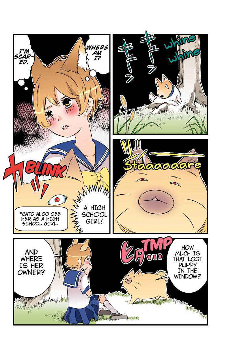 Page 8 Chapter 22 Tawara Neko to Machigai Jinsei