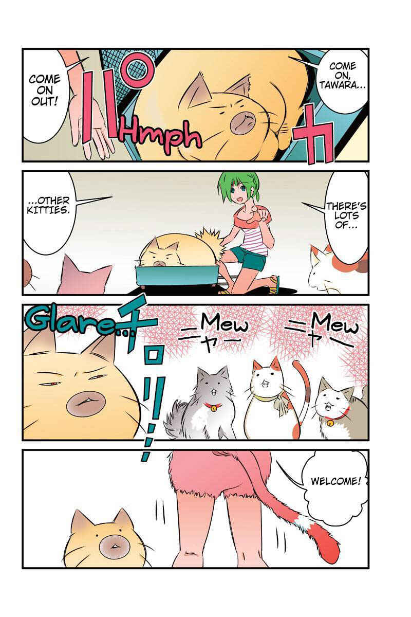Page 12 Chapter 18 Tawara Neko to Machigai Jinsei