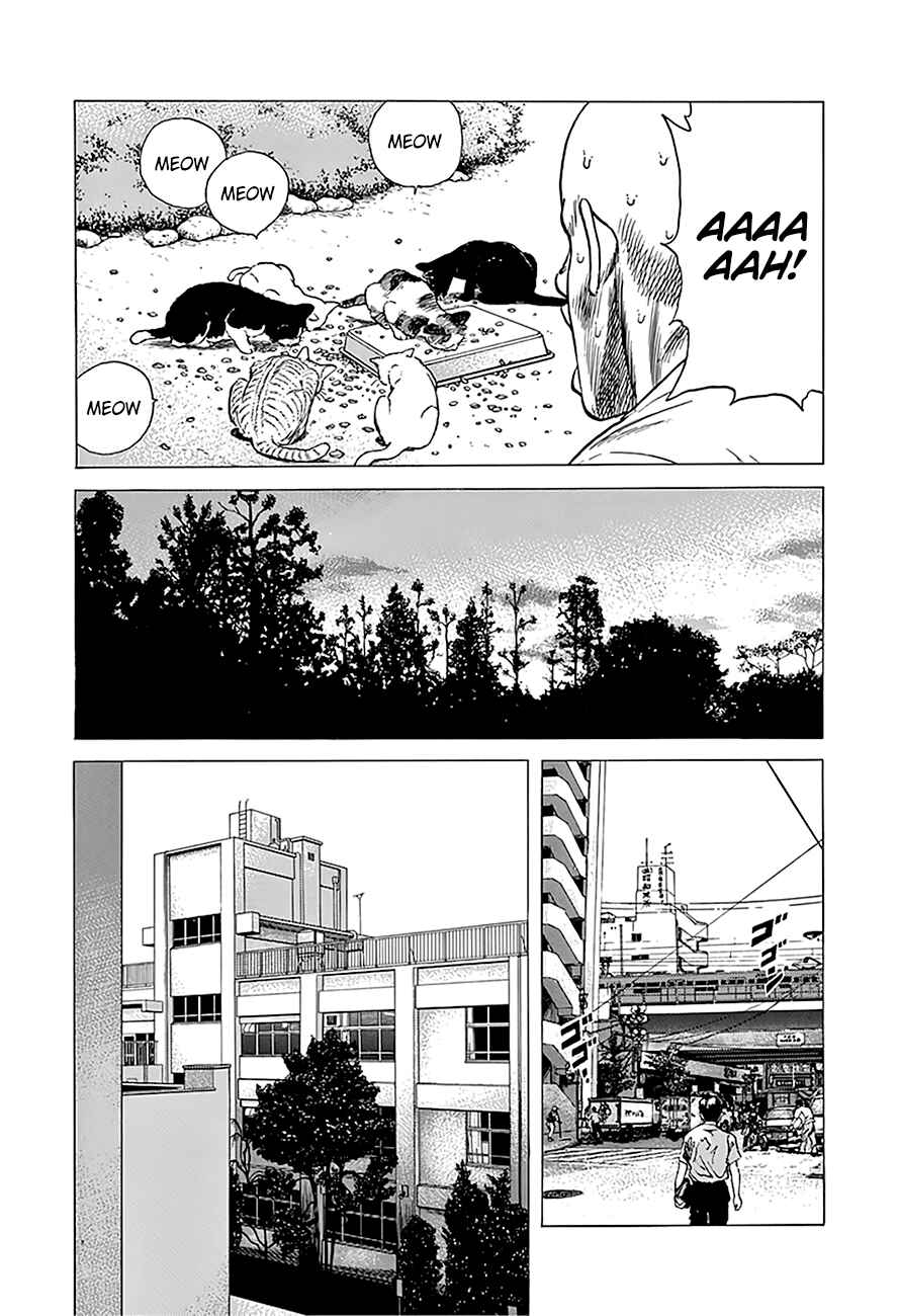 Page 16 Chapter 243 Rokudenashi Blues