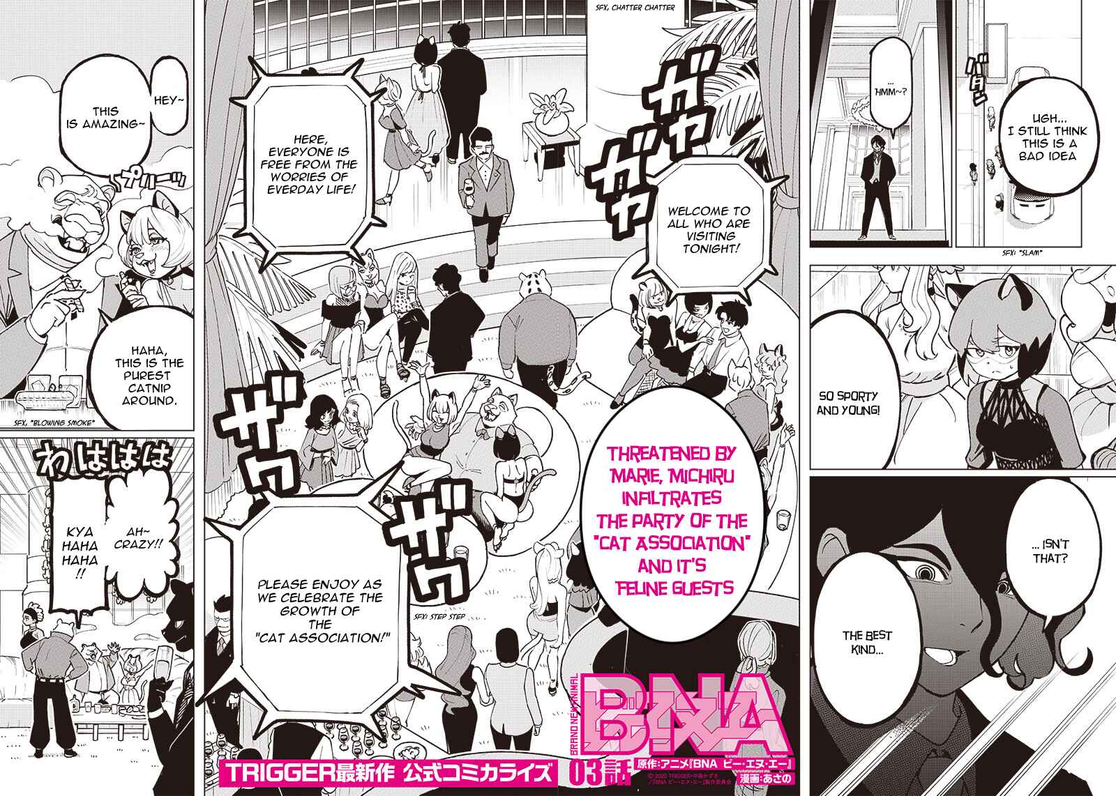 Page 2 Chapter 3 BNA