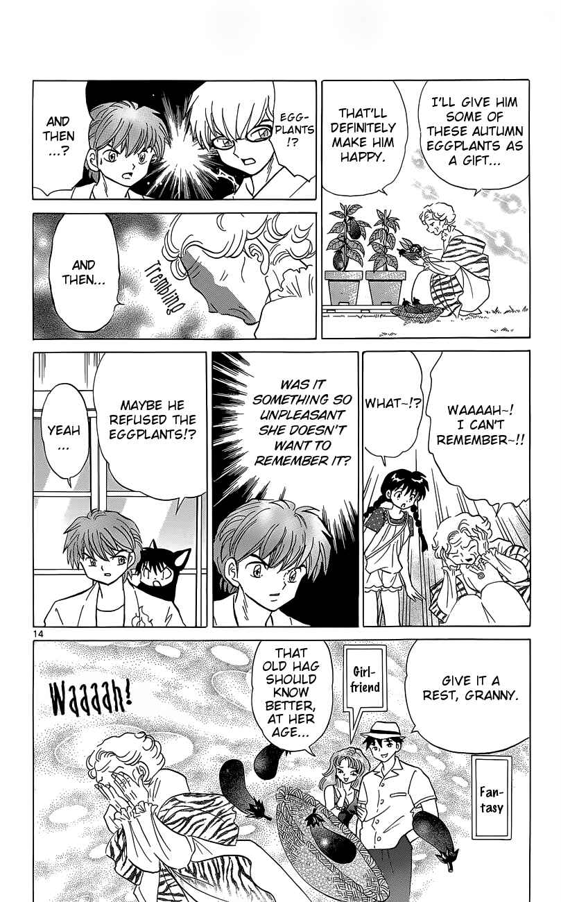Page 14 Chapter 202 Wheel of Reincarnation Rinne