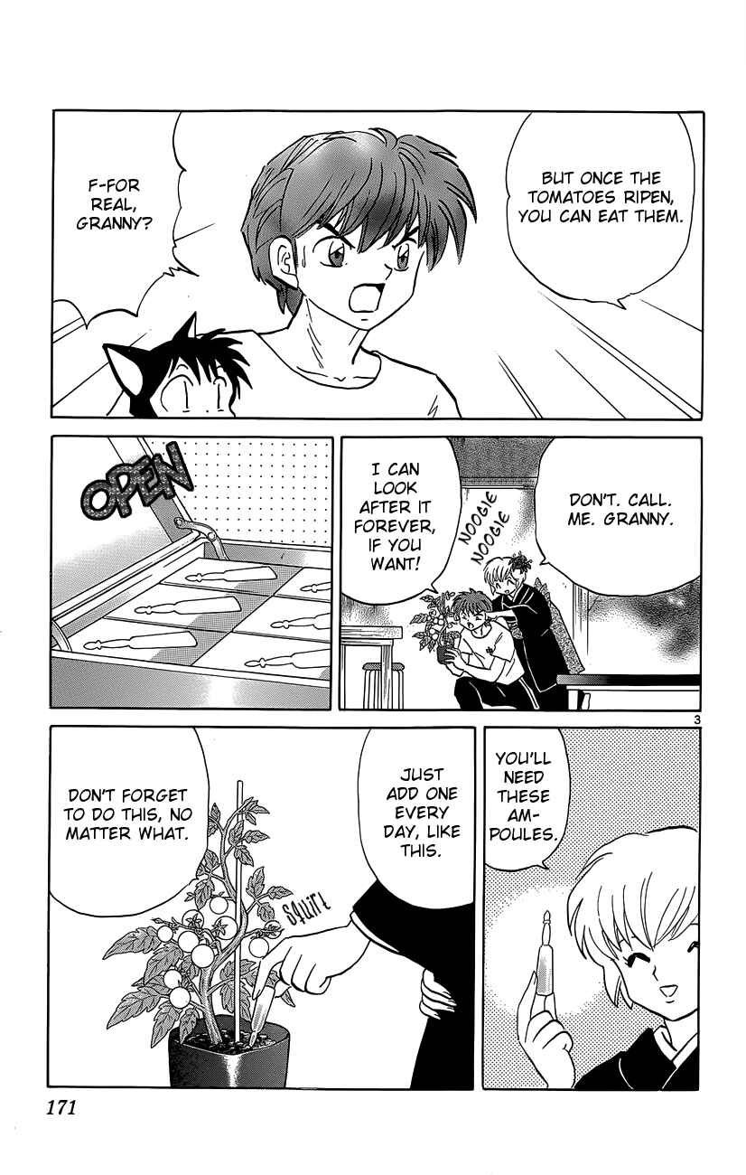 Page 3 Chapter 198 Wheel of Reincarnation Rinne