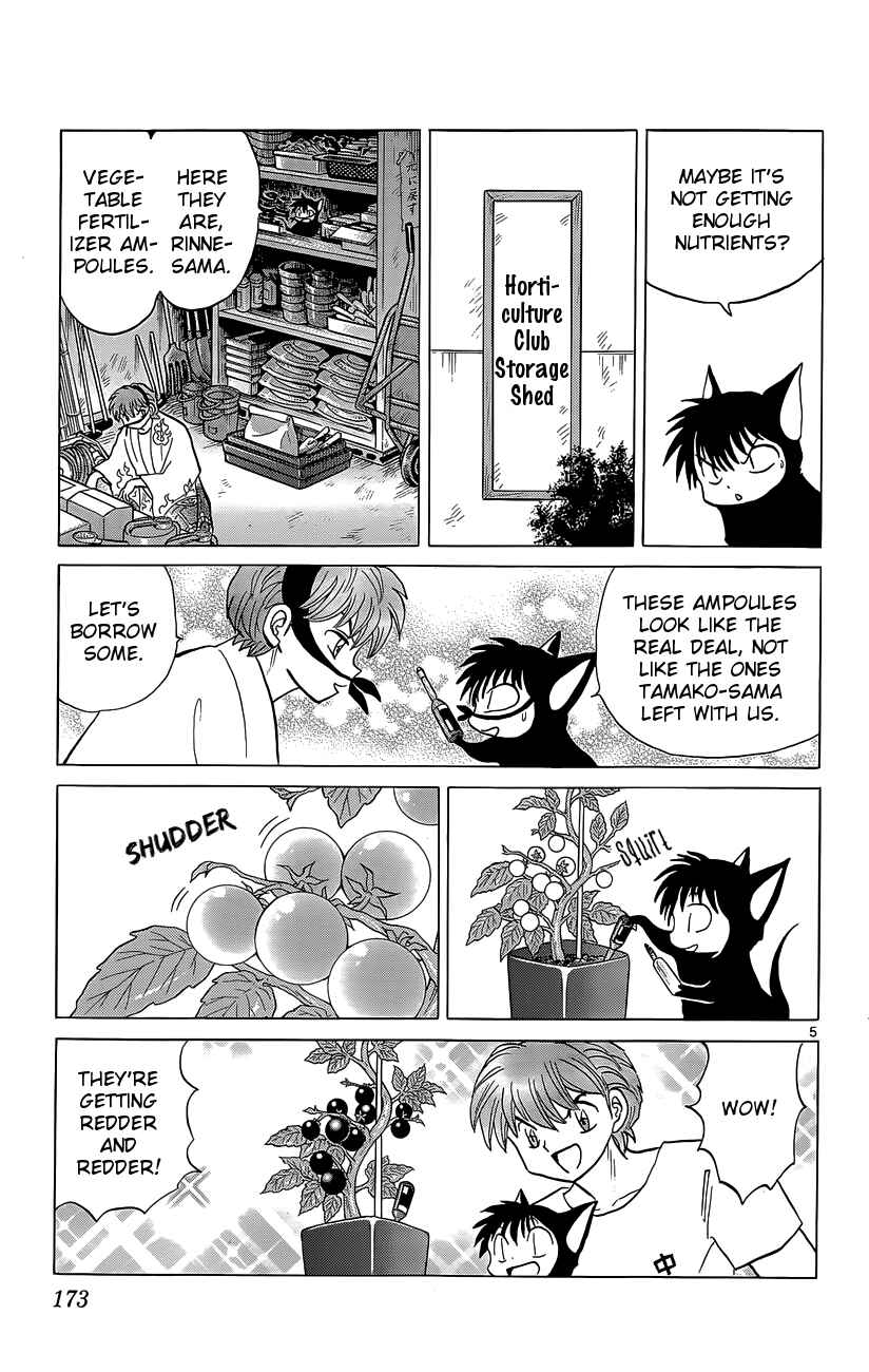 Page 5 Chapter 198 Wheel of Reincarnation Rinne