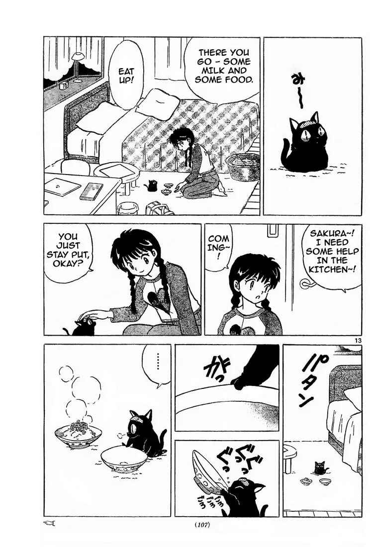 Page 13 Chapter 6 Wheel of Reincarnation Rinne