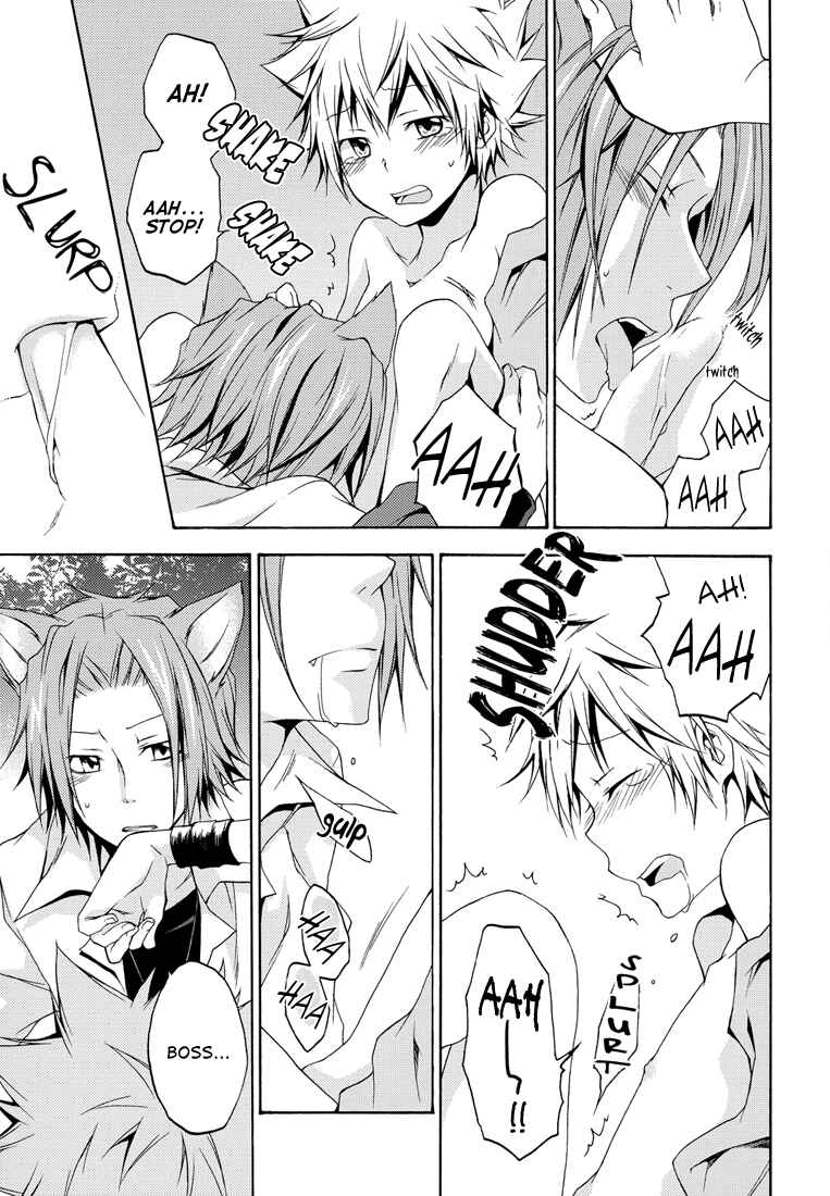 Page 28 Chapter Unknown_5772 Katekyo Hitman Reborn! - Lyrical Magical Time (Doujinshi)