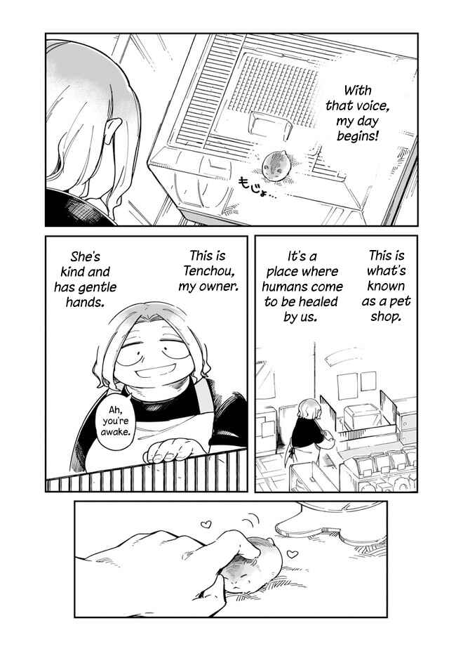 Page 2 Chapter 3 Ms. Kuzuryus favorite is small