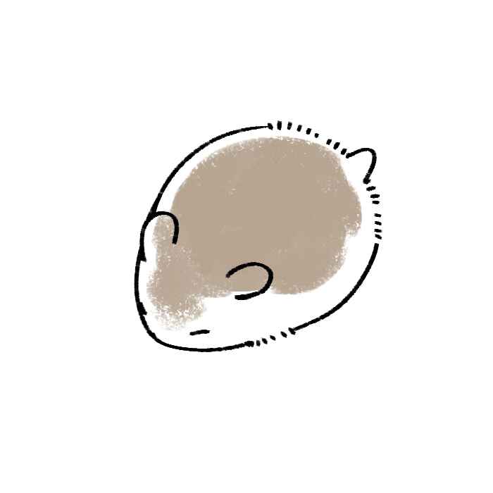 Page 21 Chapter 4 Ms. Kuzuryus favorite is small