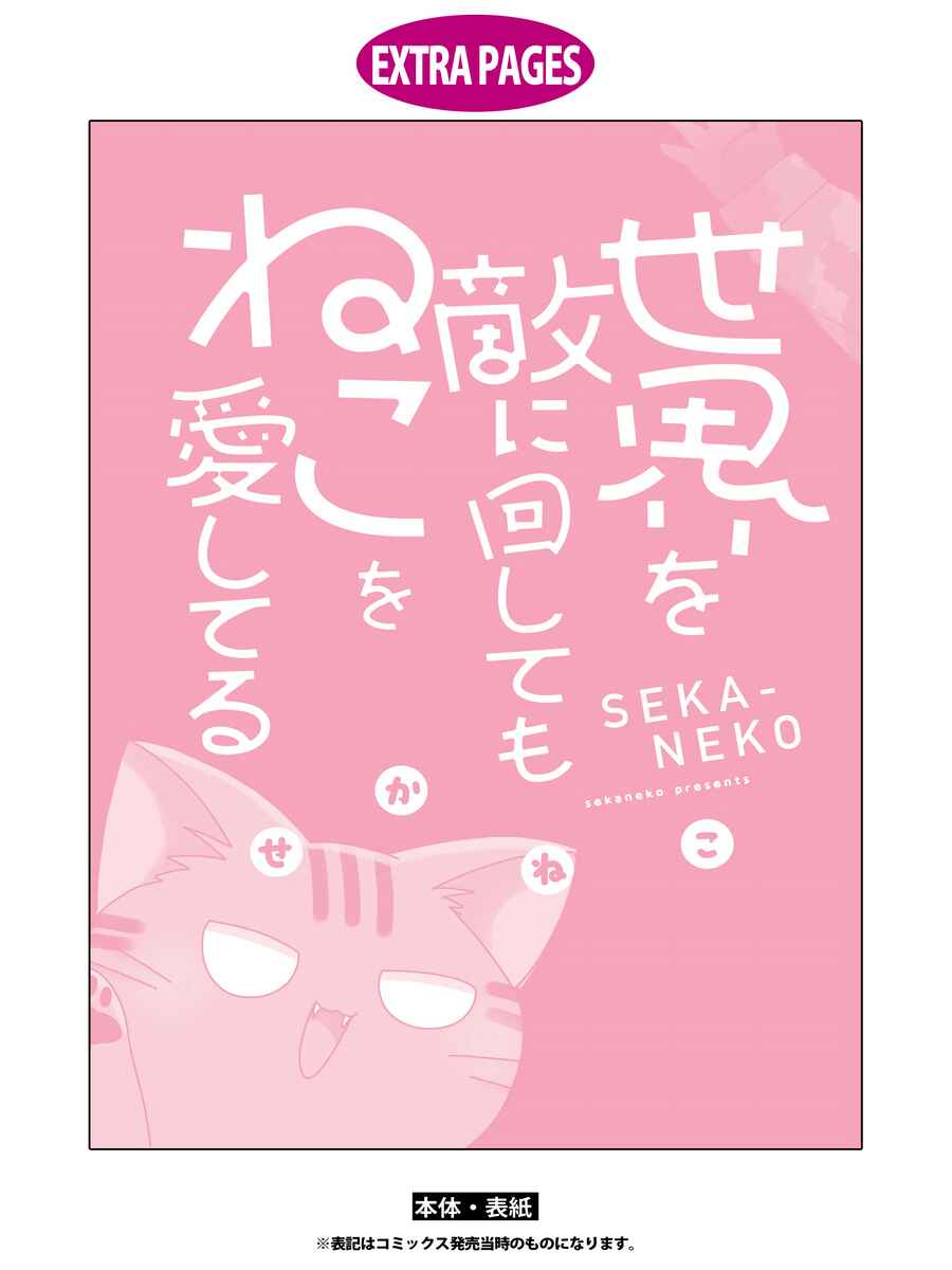 Page 23 Chapter 7 Sekai wo Teki ni Mawashitemo Neko wo Aishiteru
