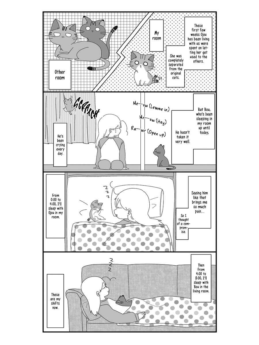 Page 10 Chapter 6 Sekai wo Teki ni Mawashitemo Neko wo Aishiteru