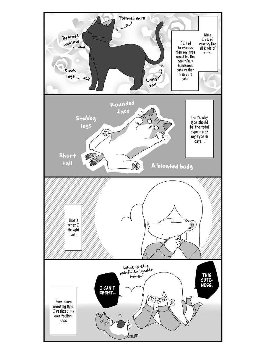 Page 11 Chapter 6 Sekai wo Teki ni Mawashitemo Neko wo Aishiteru