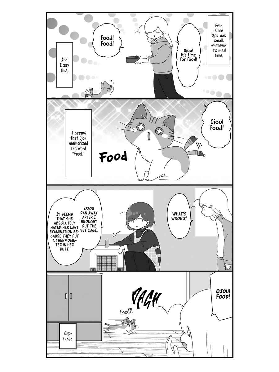 Page 12 Chapter 6 Sekai wo Teki ni Mawashitemo Neko wo Aishiteru