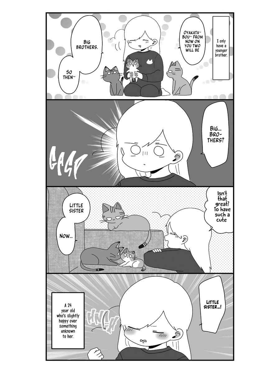 Page 13 Chapter 6 Sekai wo Teki ni Mawashitemo Neko wo Aishiteru