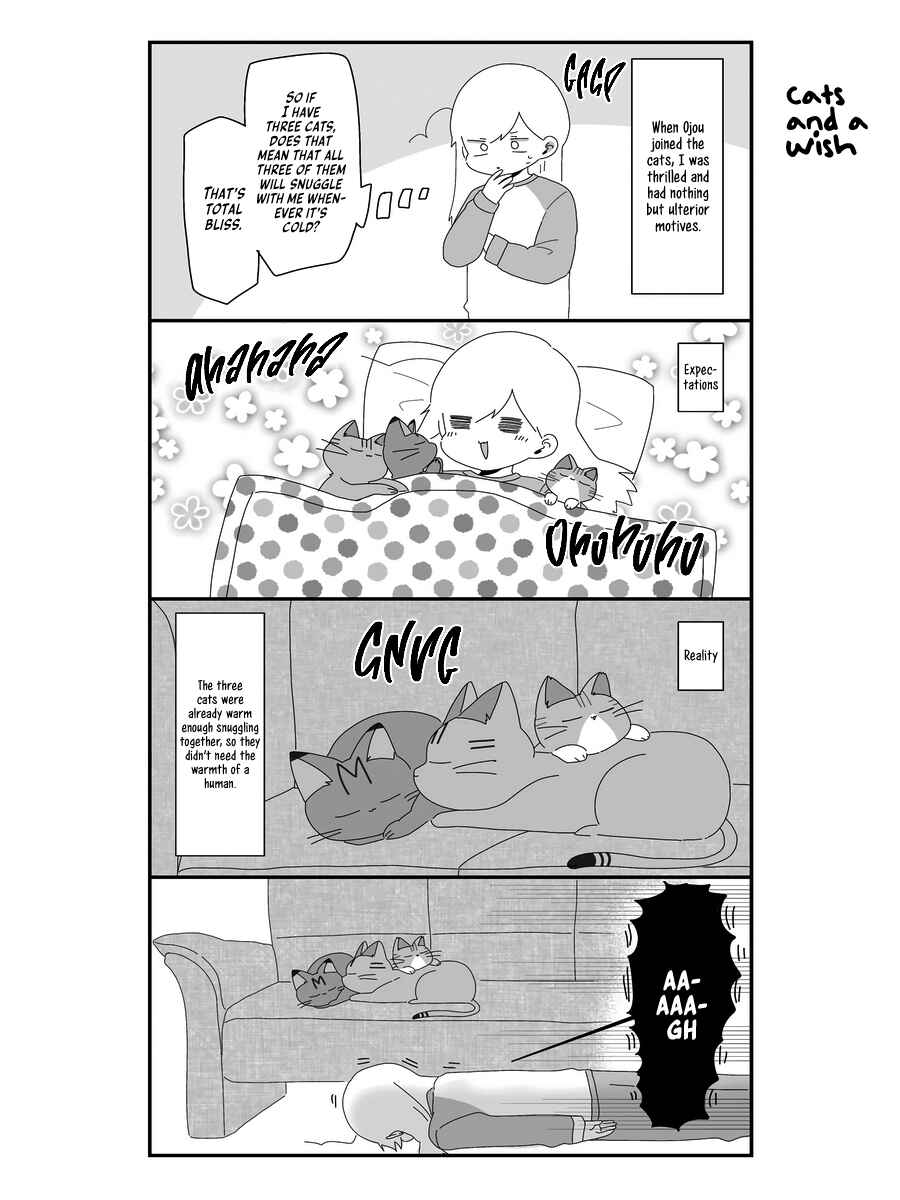 Page 16 Chapter 6 Sekai wo Teki ni Mawashitemo Neko wo Aishiteru