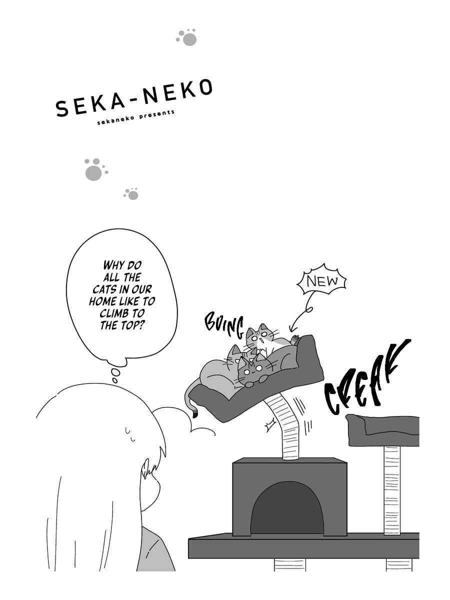 Page 23 Chapter 6 Sekai wo Teki ni Mawashitemo Neko wo Aishiteru