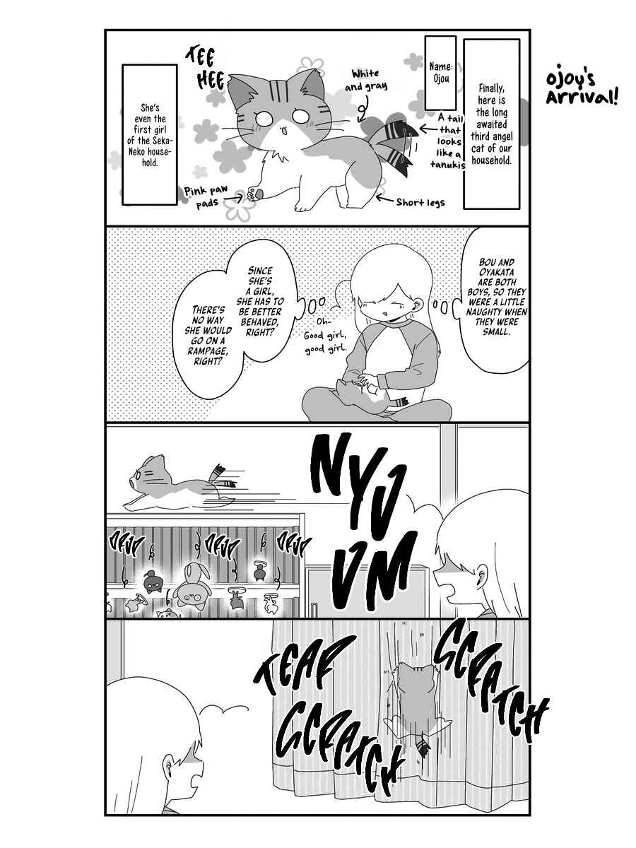 Page 9 Chapter 6 Sekai wo Teki ni Mawashitemo Neko wo Aishiteru