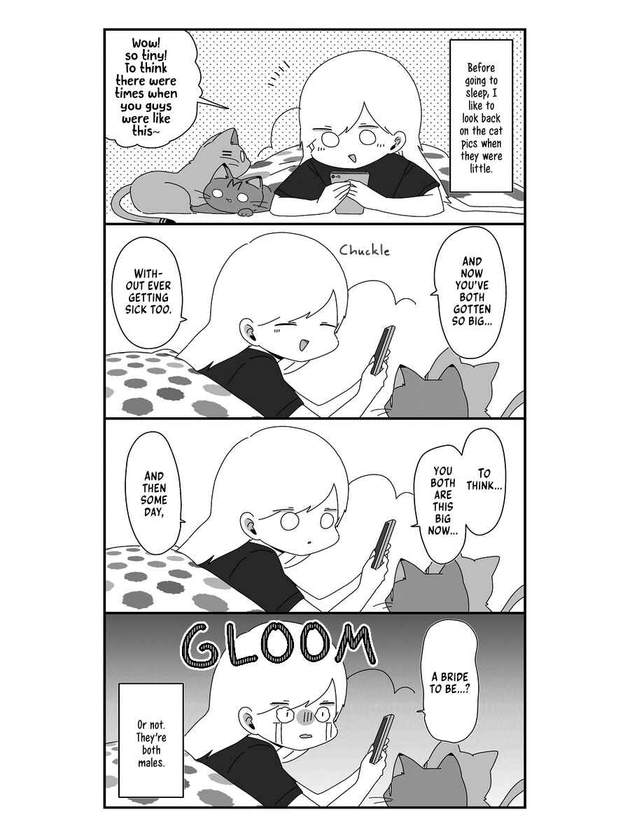 Page 15 Chapter 3 Sekai wo Teki ni Mawashitemo Neko wo Aishiteru