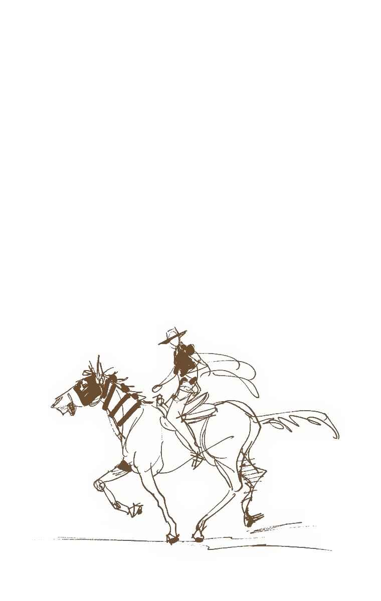 Page 1 Chapter 7 JoJos Bizarre Adventure, Part 7: Steel Ball Run (Official Colored)
