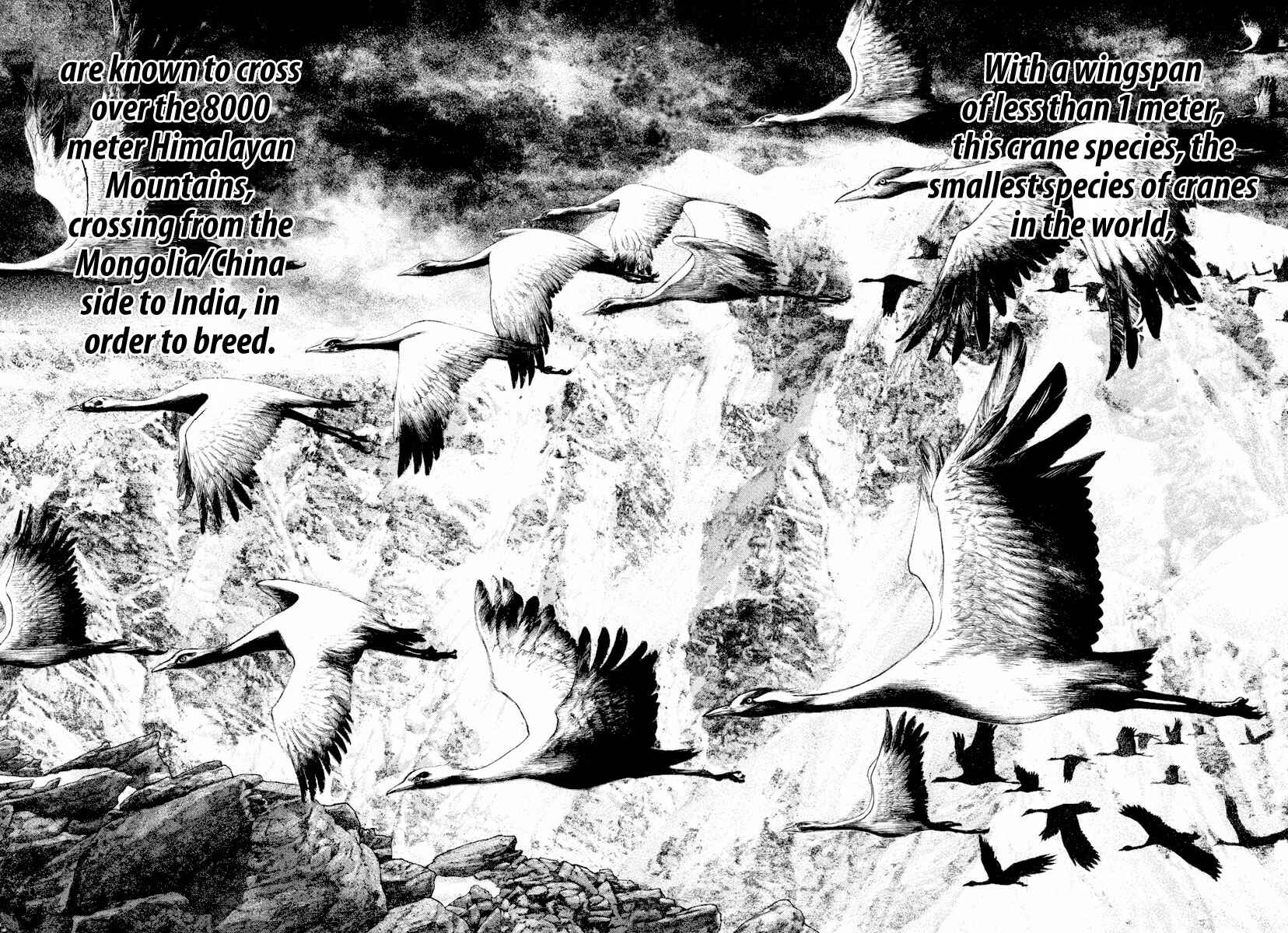 Page 10 Chapter 168 Kokou no Hito