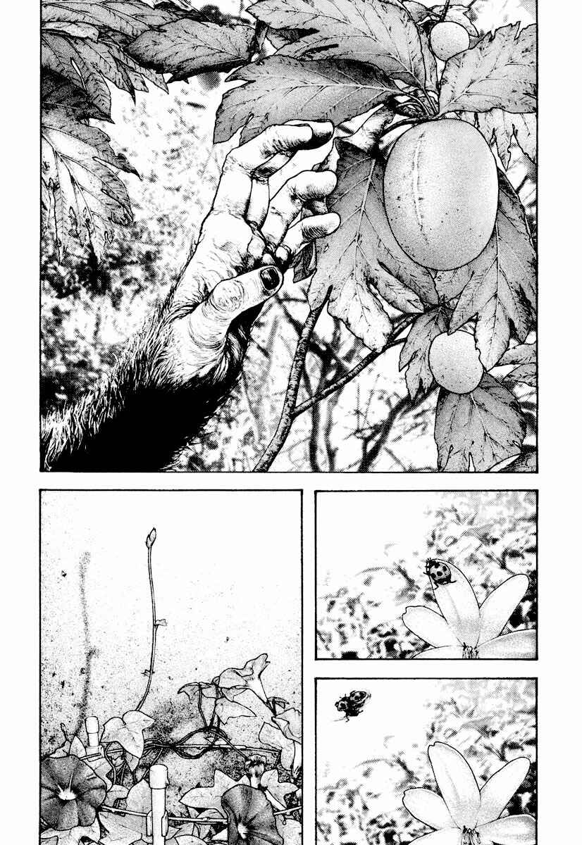 Page 19 Chapter 168 Kokou no Hito