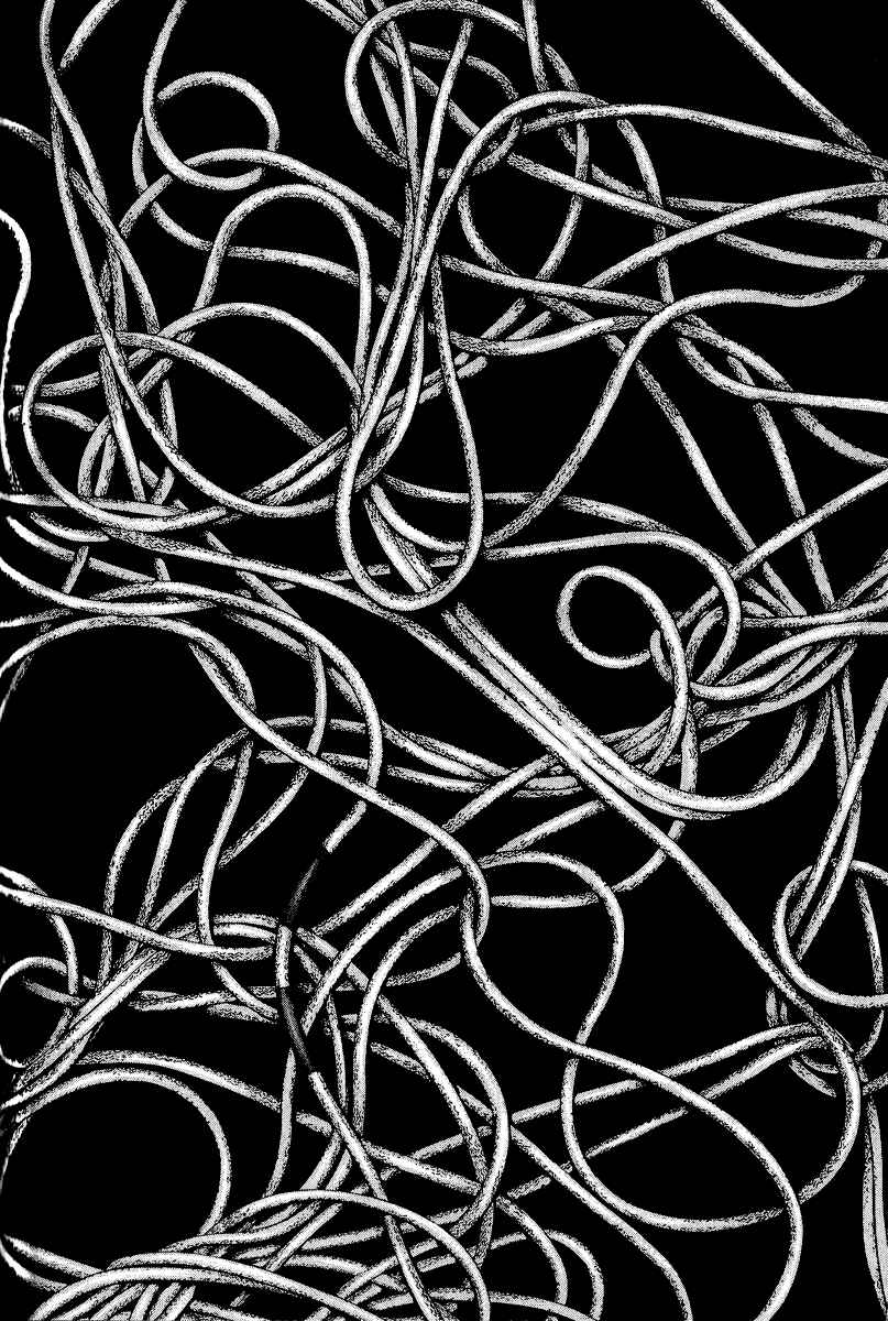 Page 12 Chapter 69 Kokou no Hito