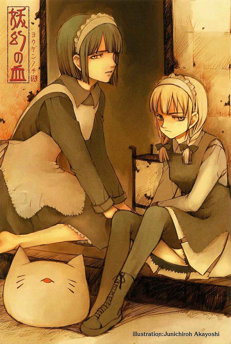 Page 45 Chapter 11 Yougen no Chi