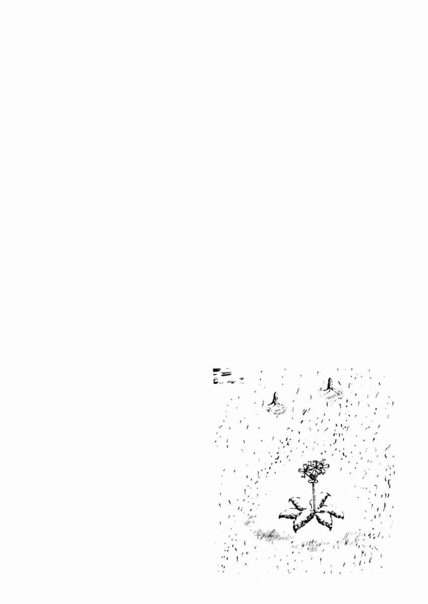 Page 33 Chapter 54 Sabu and Ichi Torimonohikae