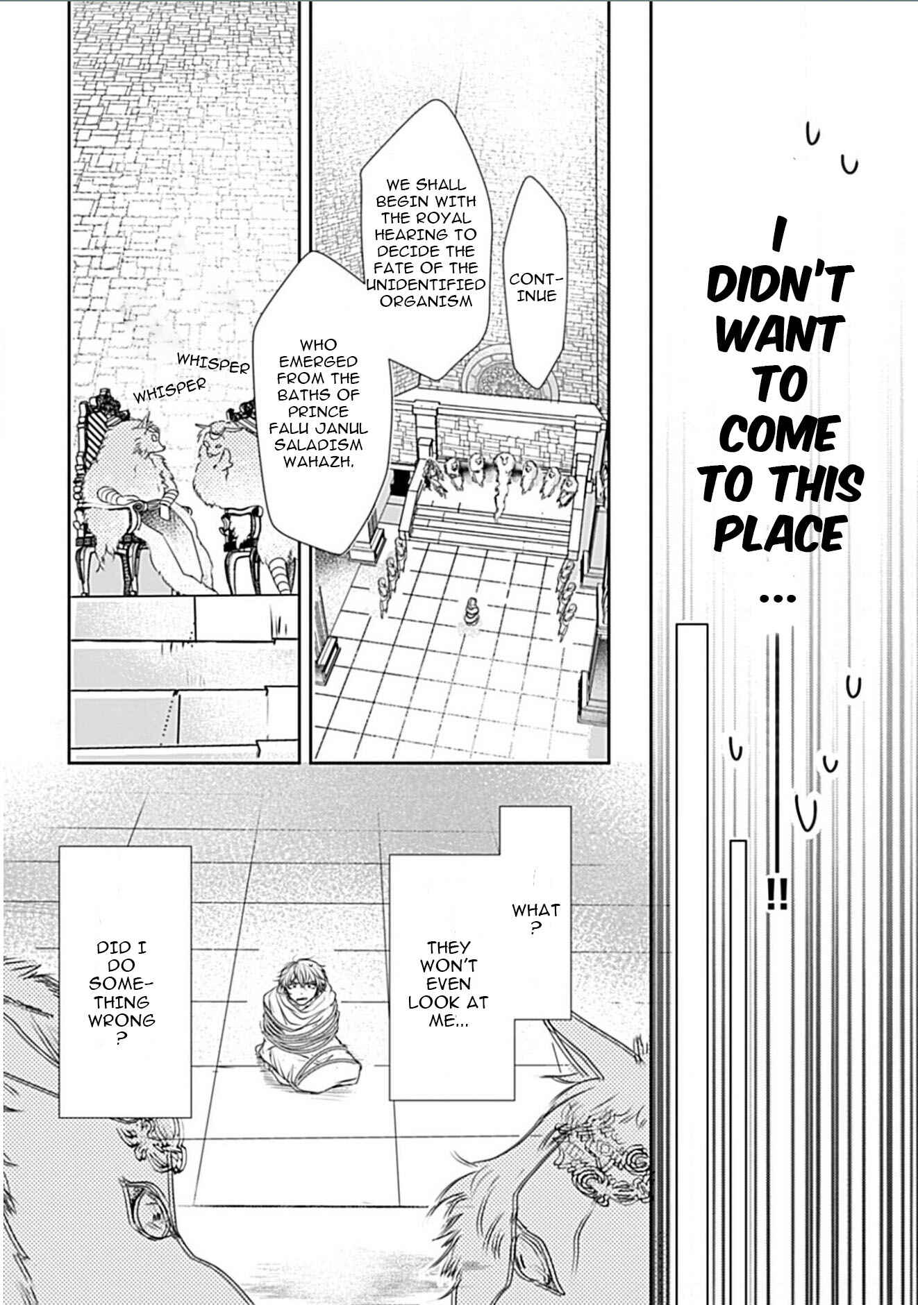 Page 13 Chapter 1 Itoshi no Kemukujara