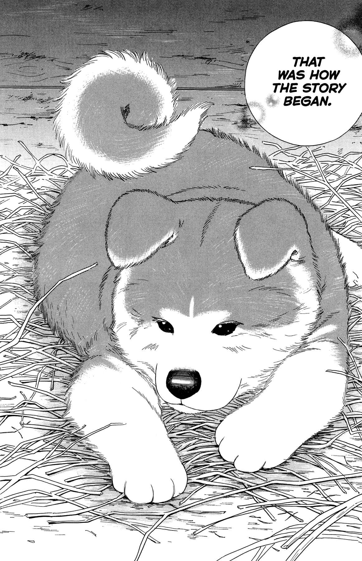 Page 9 Chapter 1 Hachi: A Dogs Tale