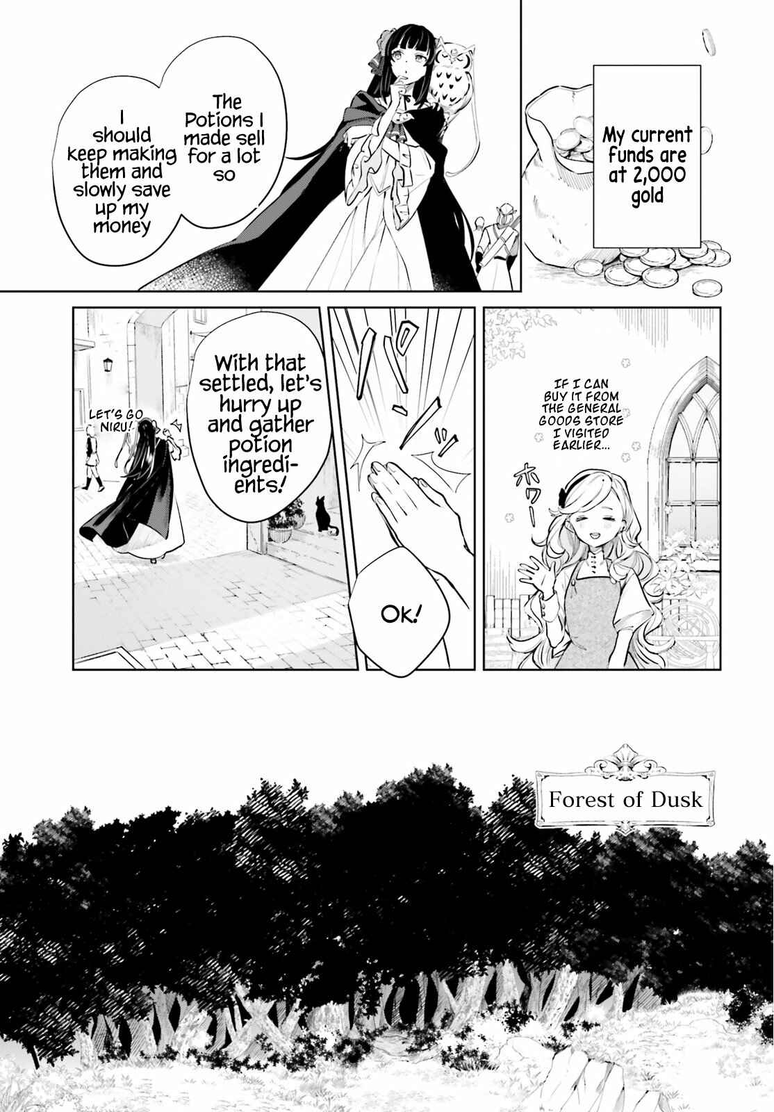 Page 17 Chapter 2 Second Story Online: Aiming To Become The Worlds Number 1. Ideal Witch