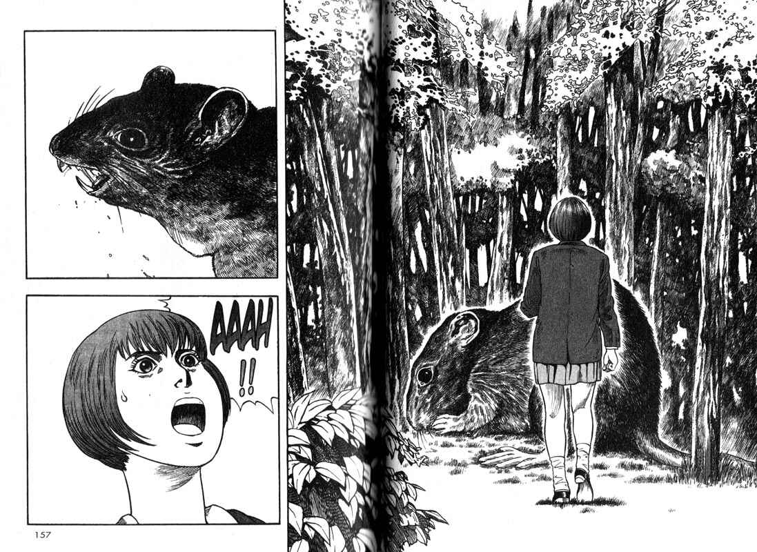 Page 18 Chapter 3 Inugami