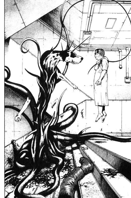 Page 25 Chapter 36 Inugami