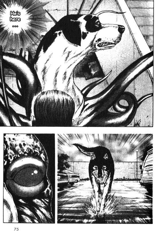Page 28 Chapter 36 Inugami