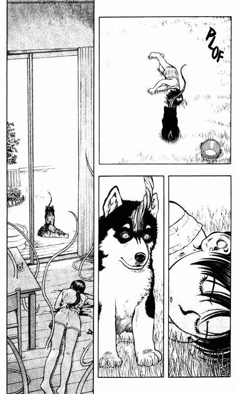 Page 26 Chapter 53 Inugami