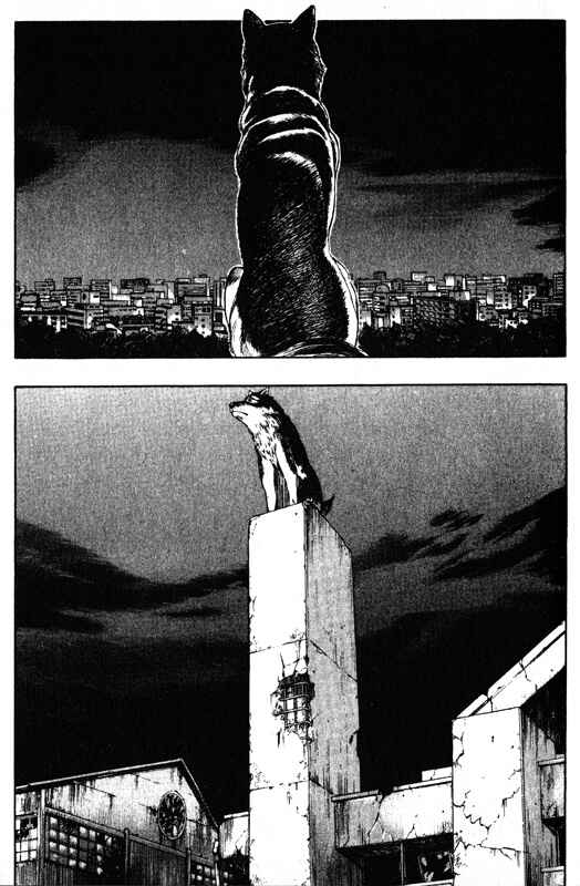 Page 29 Chapter 42 Inugami