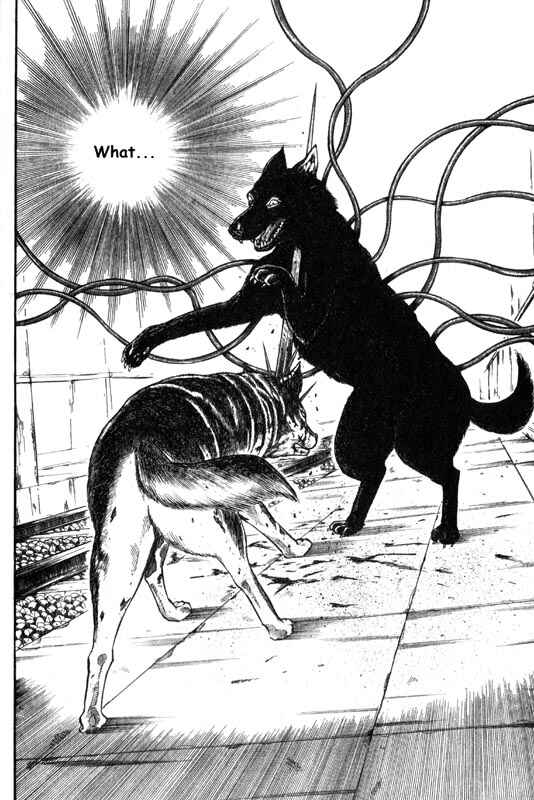 Page 23 Chapter 7 Inugami