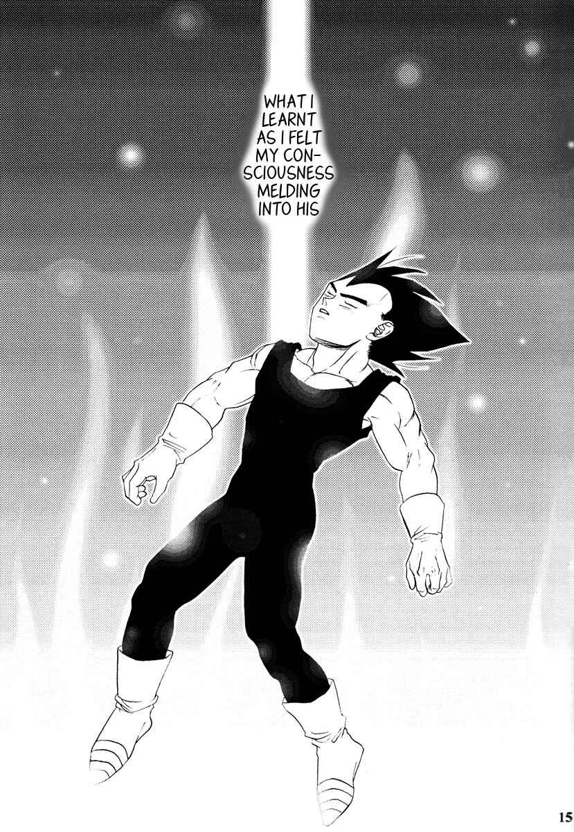 Page 15 Chapter Unknown_1119 Dragon Ball - Muimi na Kiiro (Doujinshi)