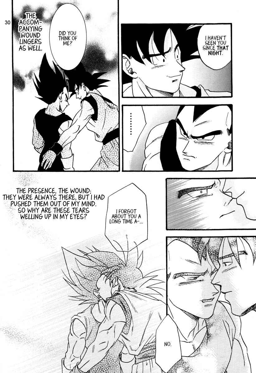 Page 30 Chapter Unknown_c9f0 Dragon Ball - Muimi na Kiiro (Doujinshi)