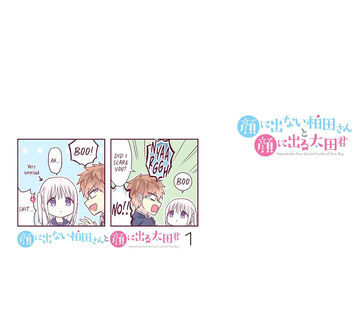 Page 11 Chapter 13.5 Kao ni Denai Kashiwada-san to Kao ni Deru Oota-kun