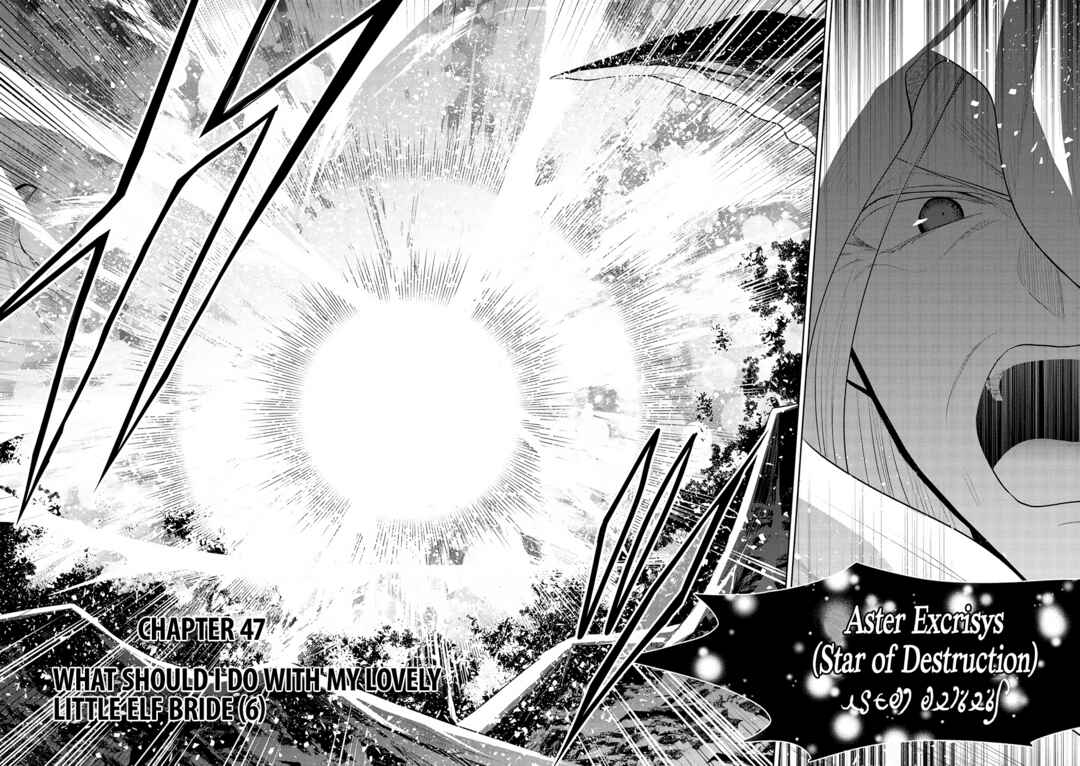 Page 2 Chapter 47 Maou no Ore ga Dorei Elf wo Yome ni Shitanda ga, Dou Medereba Ii?
